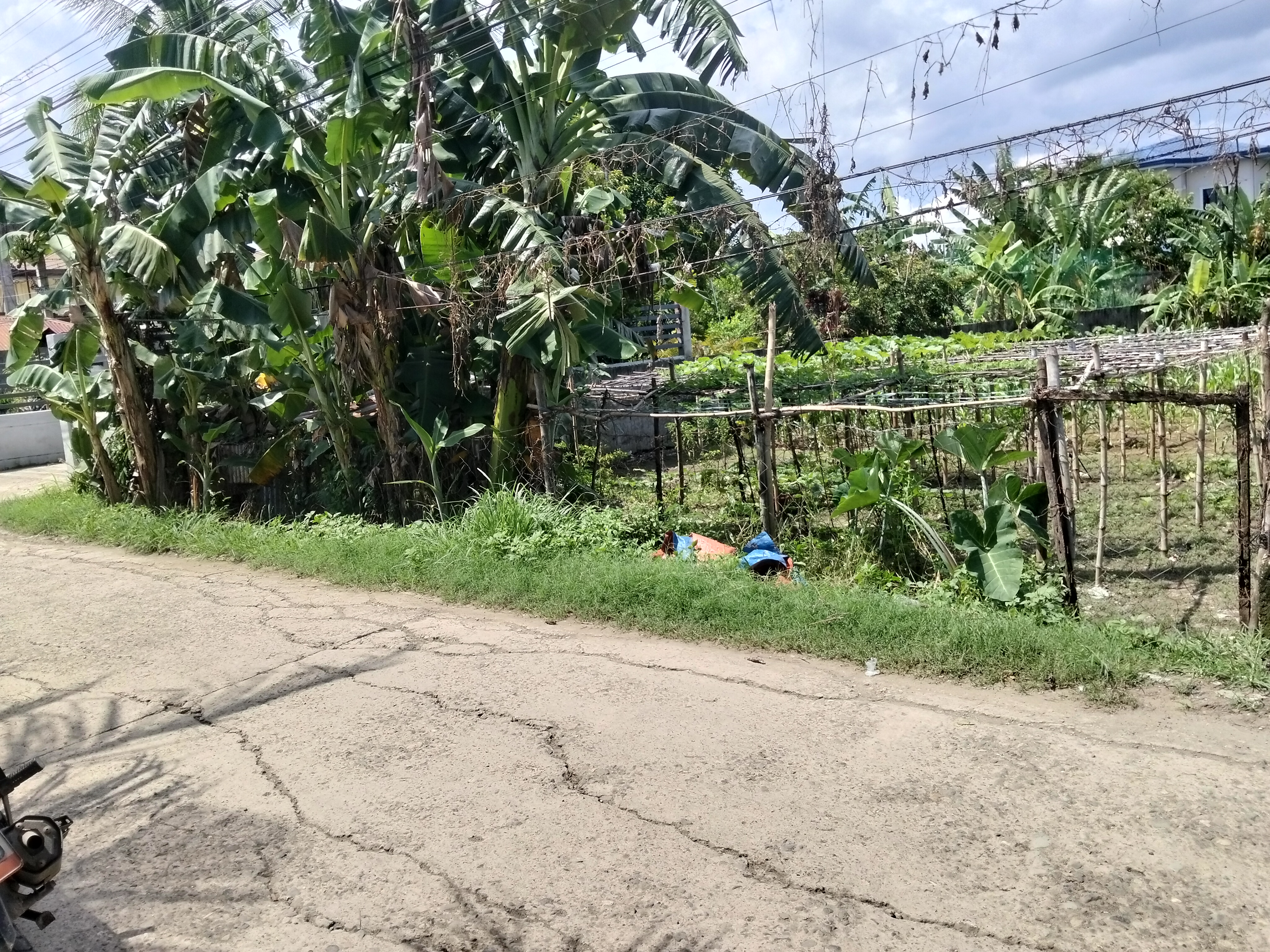 Liloan listing
