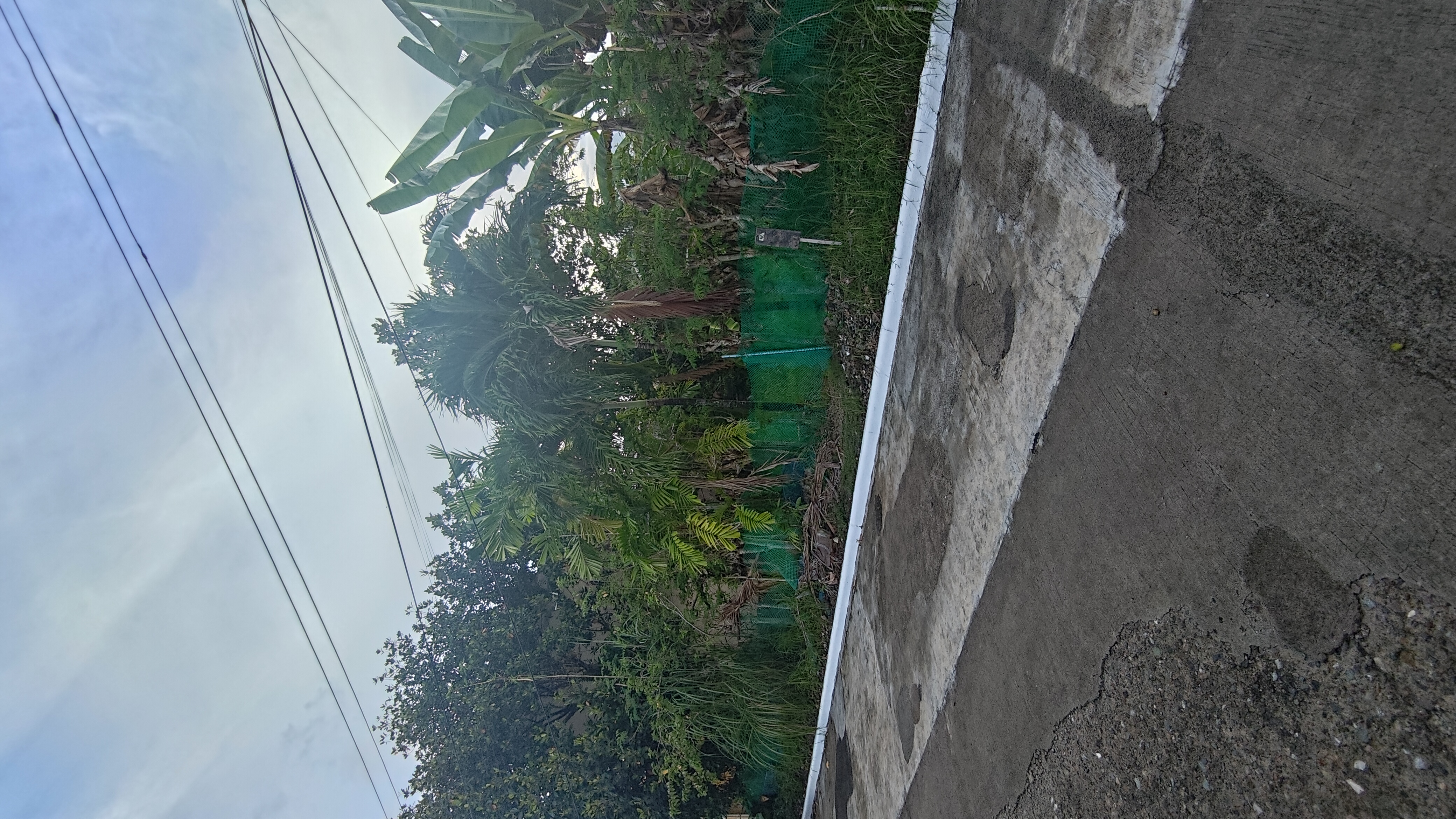 Cebu City listing